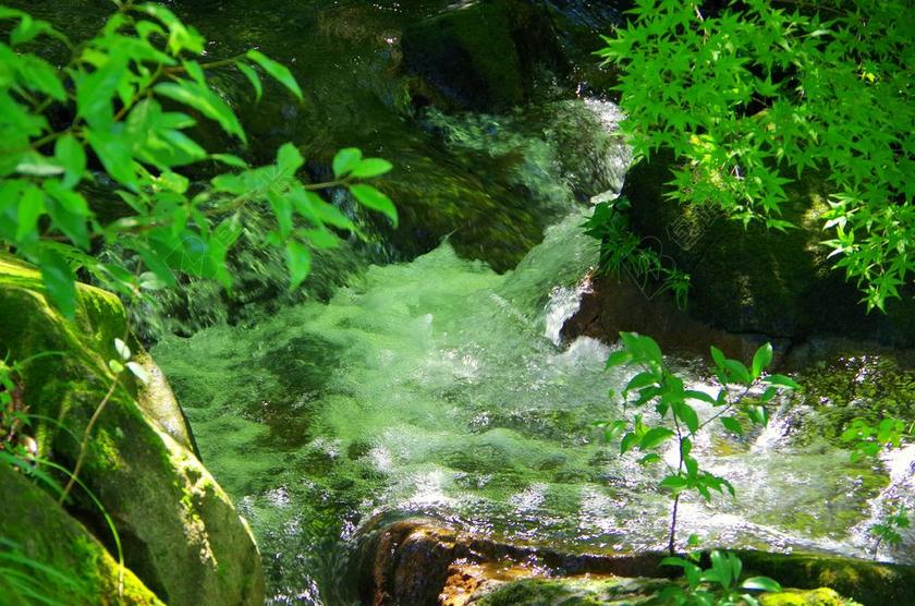 水 阳光 河 日本 瀑布 自然 谷 水源 森林 绿色 光