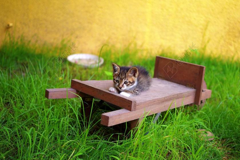 厦门 小猫 民宿