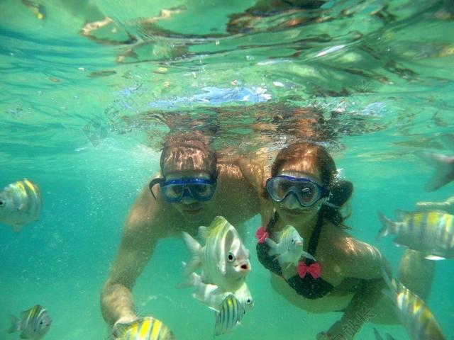 跳水 MAR 水 滨海 水下 宁静 潜水 旅游 海滩