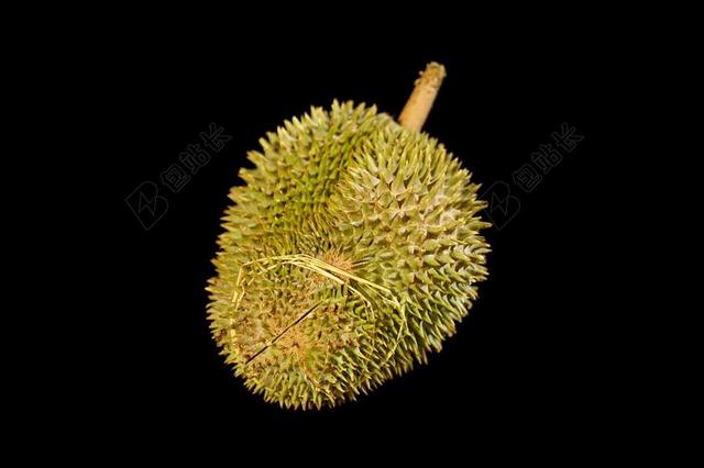 榴莲水果 国王的水果 棘手的水果 热带 美味 整个水果 马来西亚
