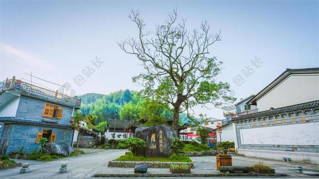 山村 古树 祠堂