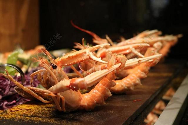 自助餐 鱼 虾 冷自助 弗里施 吃 食品 美味 餐 受益