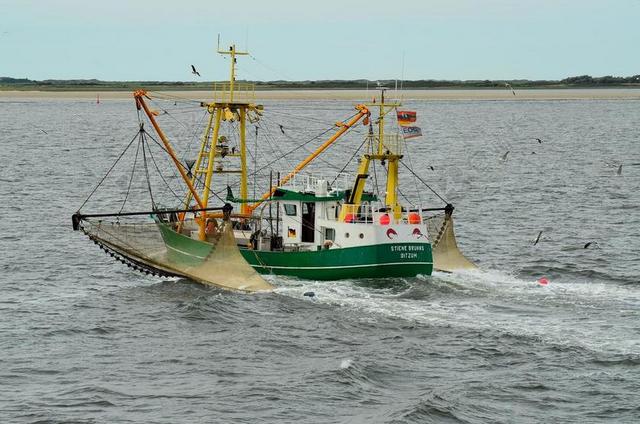 BORKUM 渔船 捕鱼 菲舍尔 引导 水 海 鱼 北海