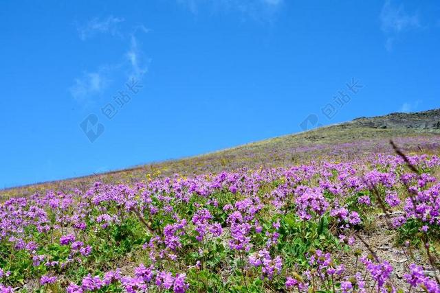 土耳其 性质 景观  天然土耳其 自然景观 天空