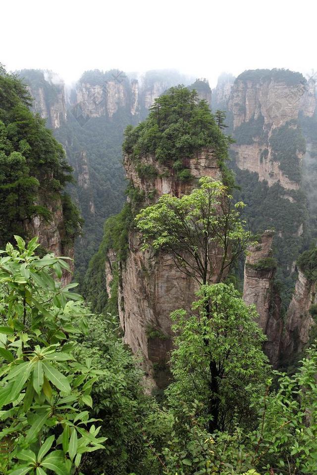 张家界 武陵源 石英砂岩峰林地貌 南天一柱 哈利路亚山