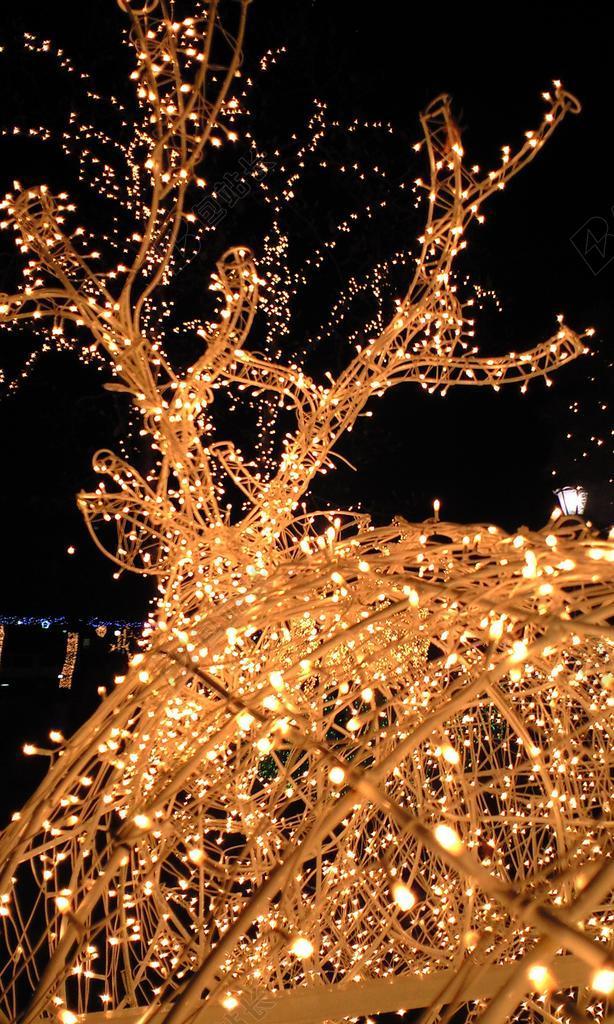 灯 LED 光 照明灯具 夜 圣诞