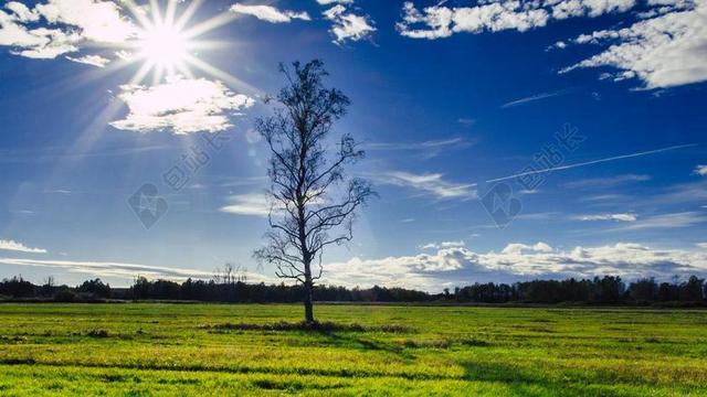 背光 HDR 春天湖 巴德布豪 秋季 景观 自然保护区 心情