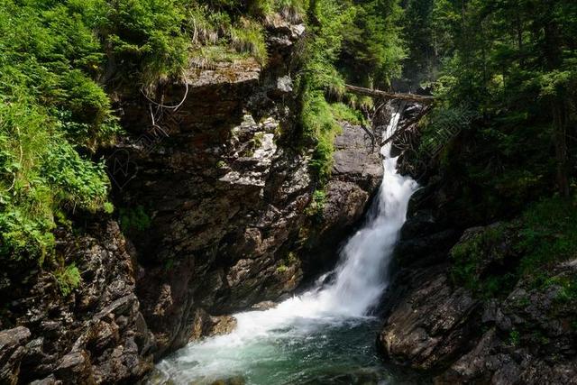 瀑布 激流 高山 性质 过独身生活 私语 水 水域 山间溪流