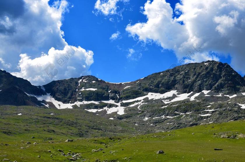 性质 春 鲜花 春天的花朵 绿色 景观 美丽 颜色 植物