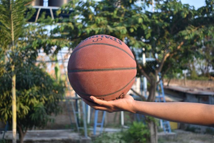 球 篮球 运动 游戏 播放 玩耍 篮 休闲 乐趣 活动