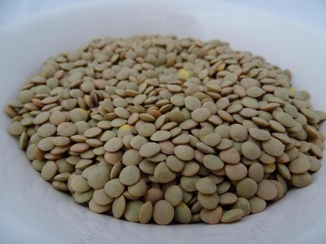 扁豆 食品 营养