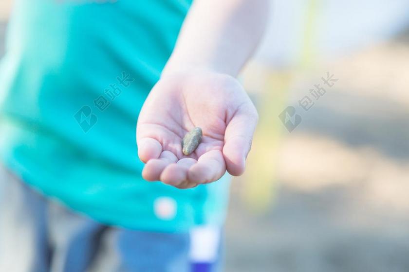 摄影唯美手里拿着石头背景图片