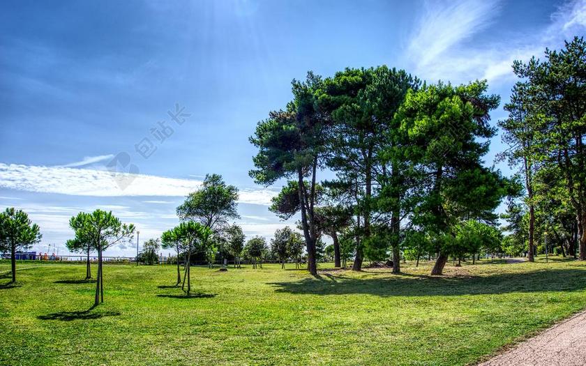 树 草地 天空 蓝色 太阳 景观 公园 夏季 性质 HDR