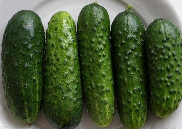 黄瓜 蔬菜 食品 绿色 厨房 青贮黄瓜 准备工作
