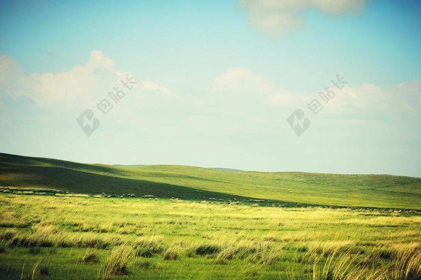 草原 锡林郭勒 白云