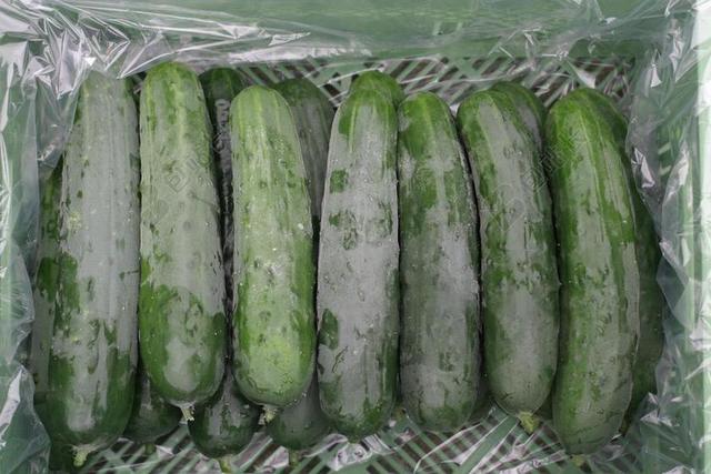国家黄瓜 黄瓜 蔬菜 弗里施 素食主义者 食品 绿色 健康