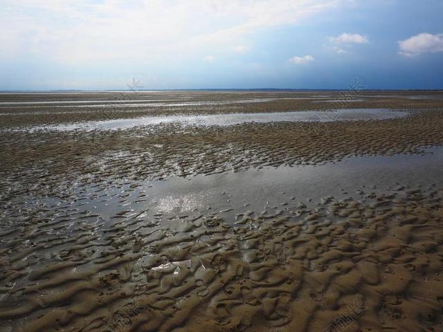 浅 美国瓦茨 瓦登海 PRIEL 沙 瓦加息 沿海滩涂远足
