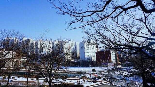 首尔 梨花女子大学 雪景