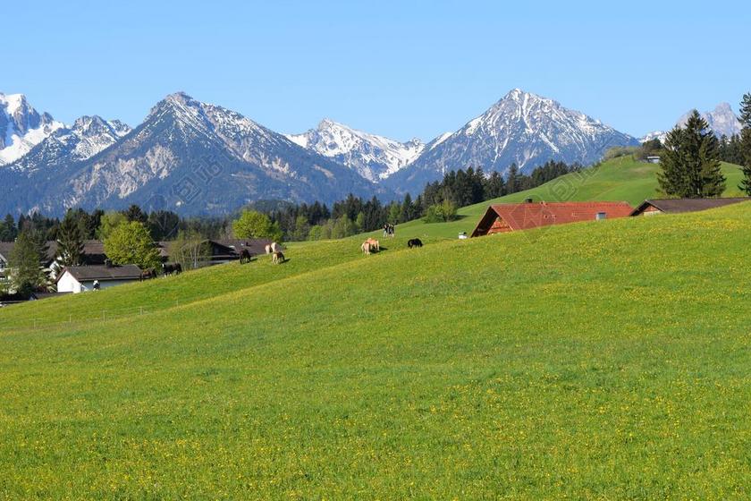 德国 菲森 山 景观 大 草原