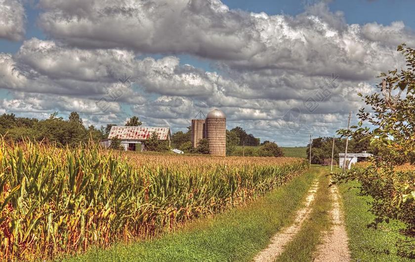 谷仓 乡村 烤房 俄亥俄州 数字艺术 农村 景区 国家 风景