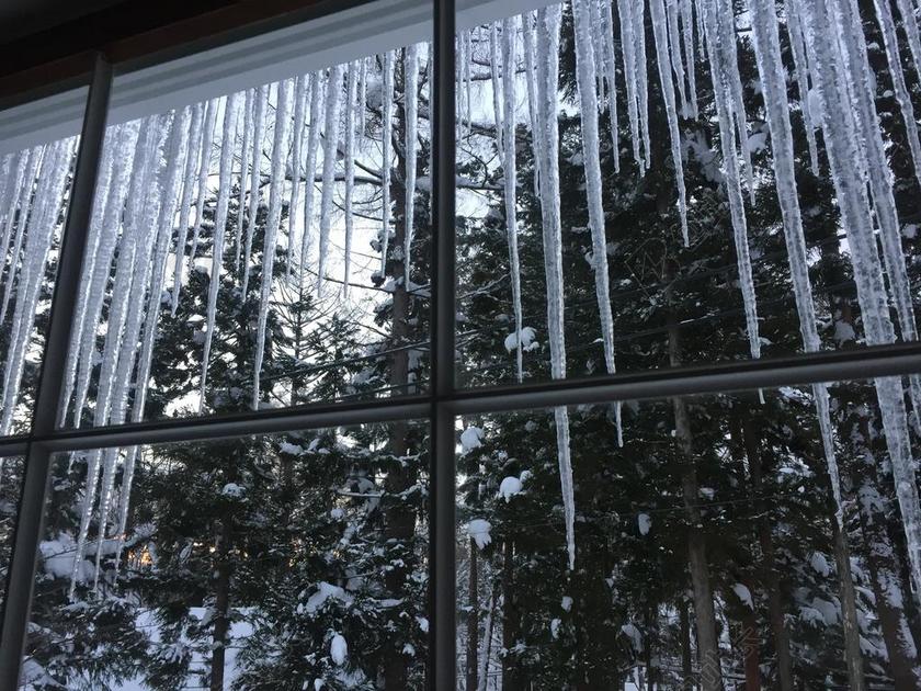 摄影清新冬天的冰柱背景图片