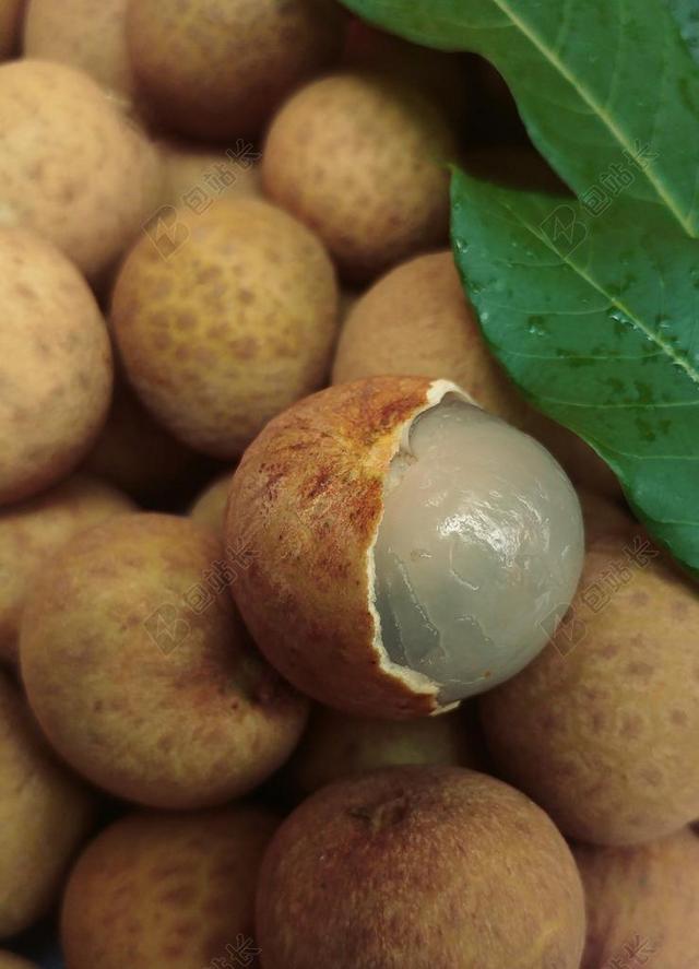 荔枝 水果 新鲜 作物 甜