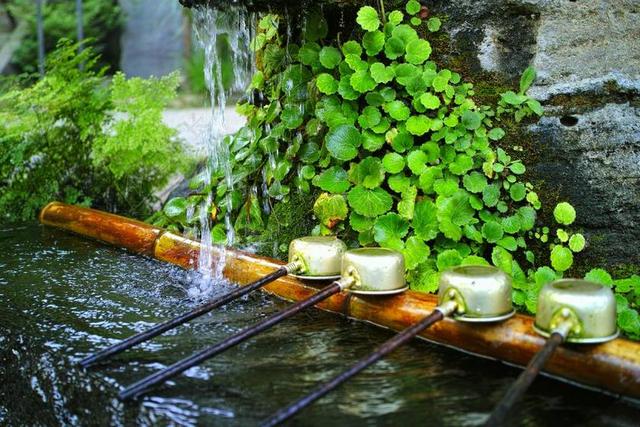 水 神社 日本 自然 植物 寺 温泉水 水边 深大寺庙