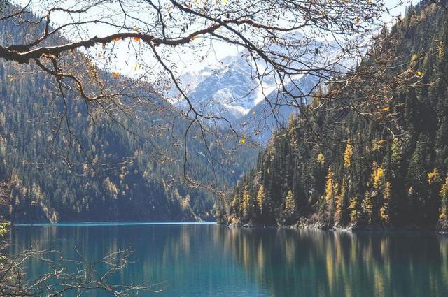 湖 水 山 丘陵 树 自然 景观 五花湖 九寨沟 四川