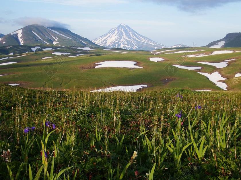 堪察加 山地高原 苔原 火山 雪 夏季 八月 山 鲜花