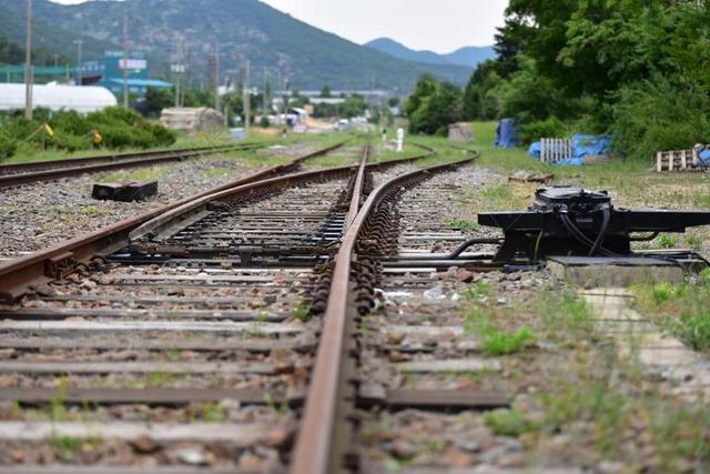 老站 站 KORAIL 韩国 京畿 猫 工作区 铁路 车站