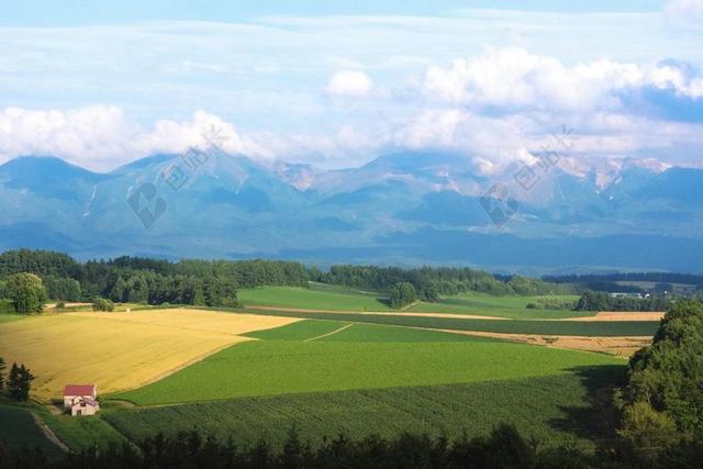 日本 北海道 美瑛 乡村