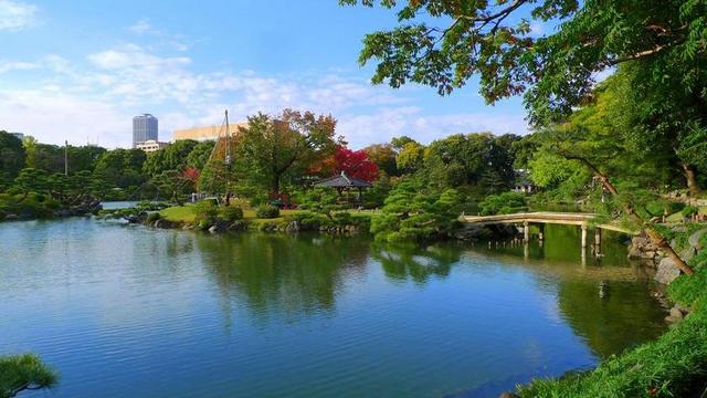 清澄庭園 水 日本 水面 自然 沉默 植物 晴 美丽的景色
