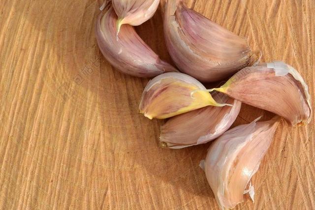 丁香蒜 大蒜 调味的菜肴