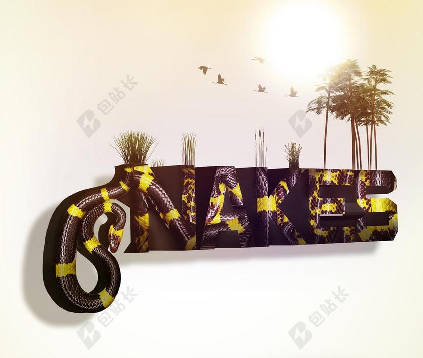 蛇 毒蛇 性质 动物 背景 屏幕保护 图 集会 图片处理