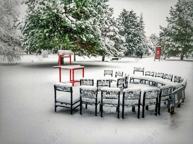 雪 冷 壁纸 表顶 景观 性质 冬天 树 雪景 冬季景观