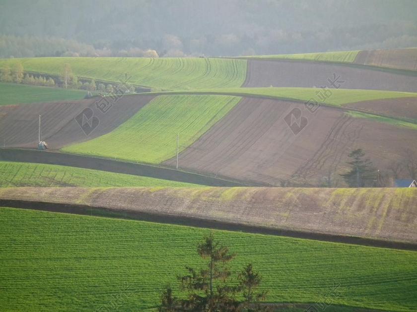 春天 五月 北海道 山 字段 可耕土地 农村