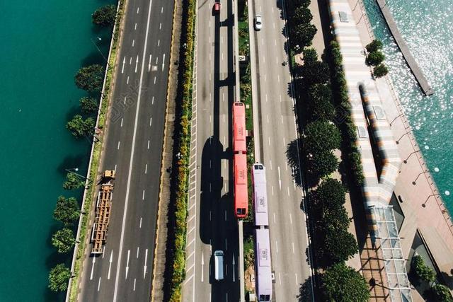 海 水 湾 树 植物 自然 路 高速公路 公路 铁路