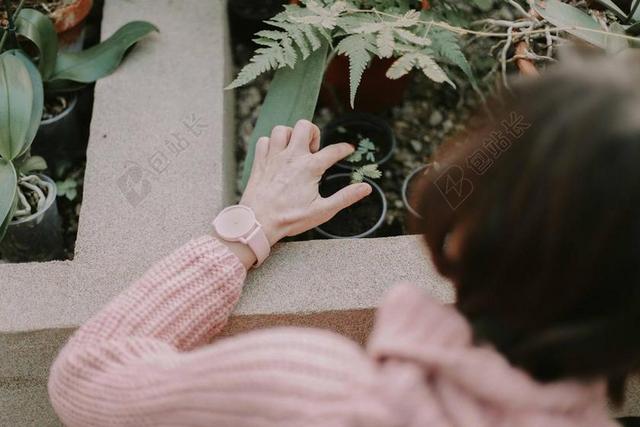 人 老 女子 毛衣 手表 时间 附件 花园 植物 绿色