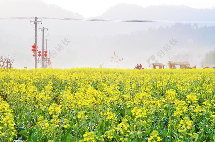 及自然在当代的意义，当代 春天 清新 油菜花 的 人物 暖色调