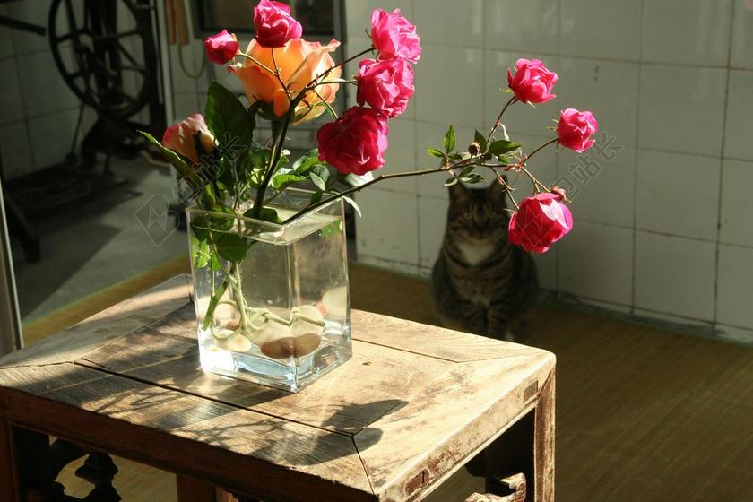 插花 红花 花朵