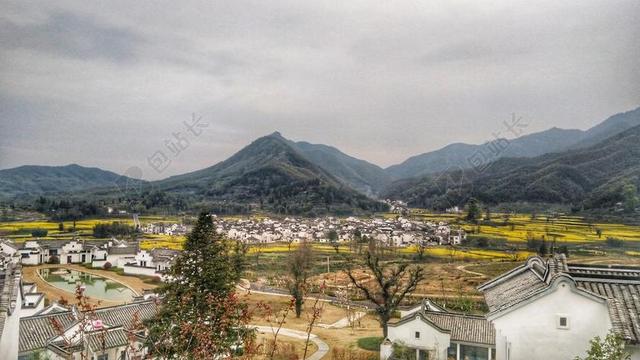 卢村 油菜花 安徽