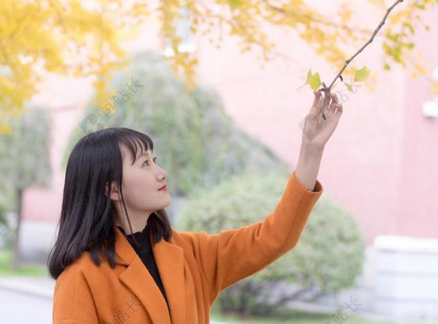 银杏 女生 沈阳农业大学 大学生
