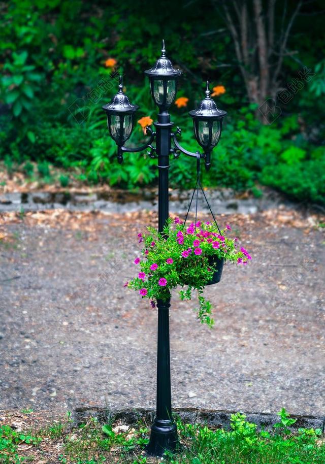 落地灯 房子 路径 树 鲜花 性质 街 灯具