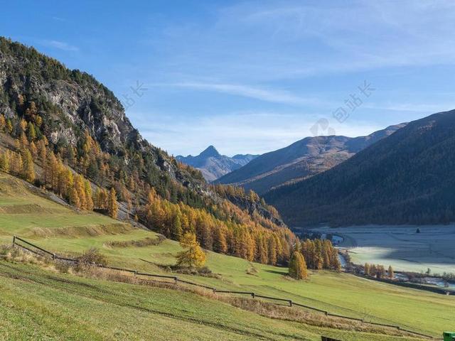 瑞士 恩加丁 秋季 落叶松 落叶松变色 金色的秋天 金 森林