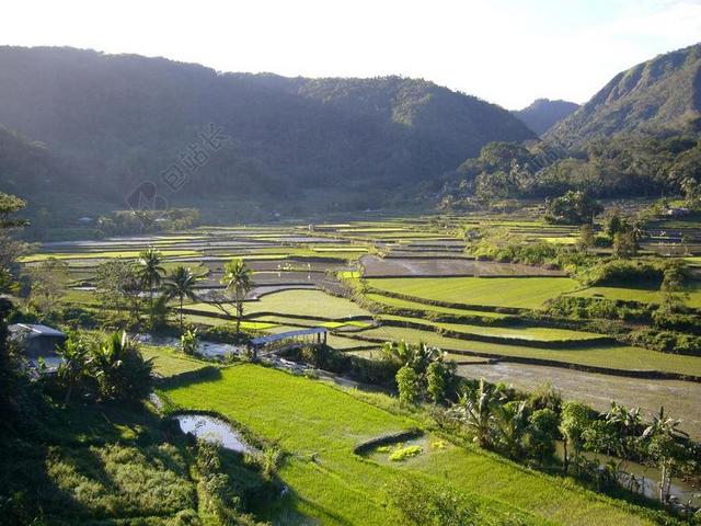 稻田 山 农业 农村 农田 绿色 景观 菲律宾 水稻