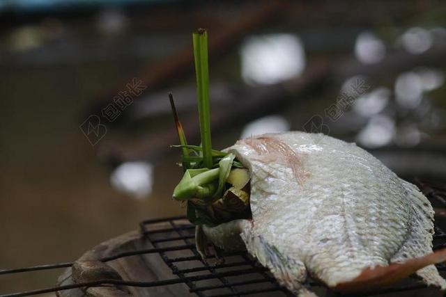 罗非鱼 烤鱼 食品 生活方式 性质 生活 房子的外面。 文化。