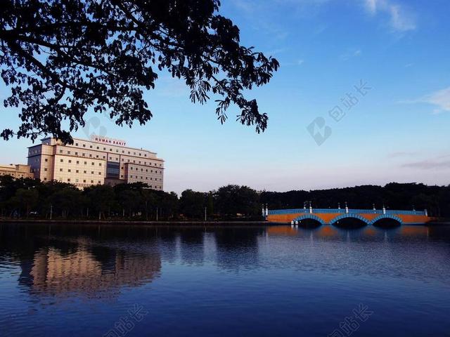 医院 教育 泗水 大学 艾尔朗加大学 同事 国际 医疗保健