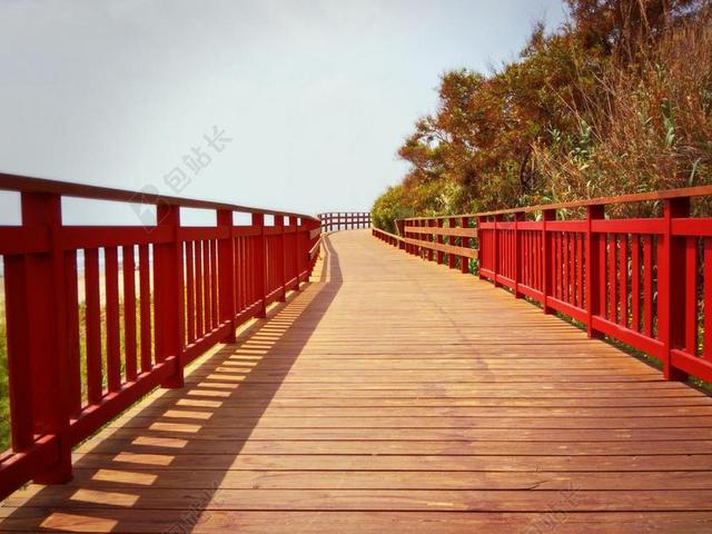 海滨长廊 木 沿海 旅行 夏天 自然 景观 天空 户外