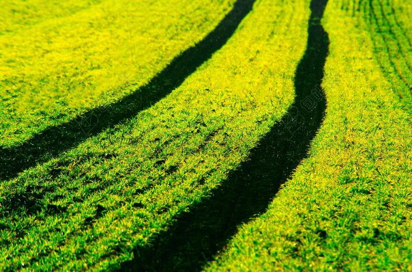 农田唯美耕地背景图片