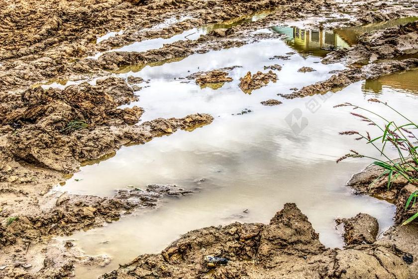 水坑 泥 水 水洼 镜像 反射 污垢 对比 HDR 云